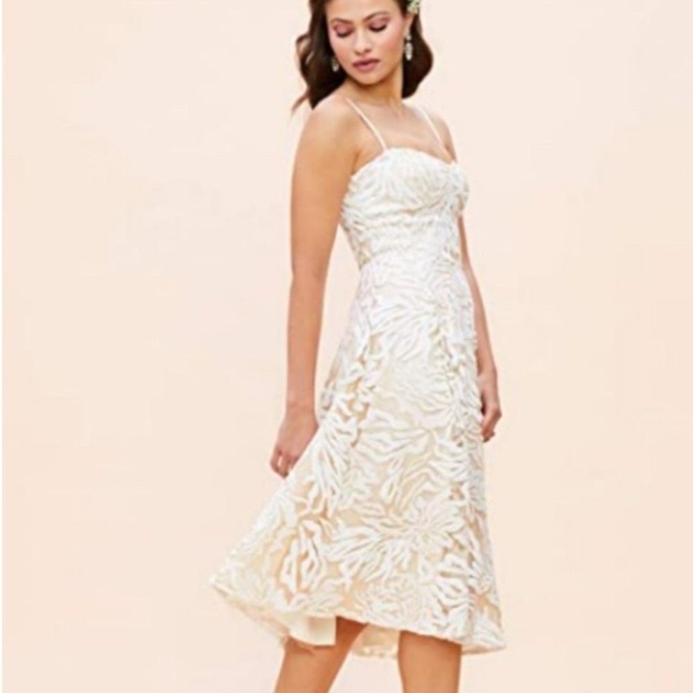 Dress the Population Womens Layla Sweetheart Fit and Flare Midi Dress